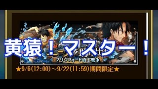 「トレクル」マリンフォード頂上戦争！黄猿！マスター初見！