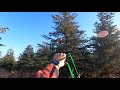 Slingshot hunting: Grouse and Squirrel on 10/10/21