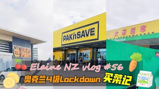 Elaine's 新西兰/紐西兰 NZ vlog #56 | 奥克兰 Level 4 疫情封锁期间去买菜🥬🍗| 封城路况🚗