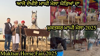 Muktsar Horse Fair 2025 #beanttulewal #muktsarhorsemandi #horse