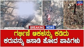 Sinners killed a cow | ಗರ್ಭಿಣಿ ಆಕಳನ್ನು ಕಡಿದು, ಗರ್ಭದ ಒಳಗೆ ಇರುವ ಕರುವನ್ನು ಬಿಸಾಡಿ ಹೋದ ಪಾಪಿಗಳು