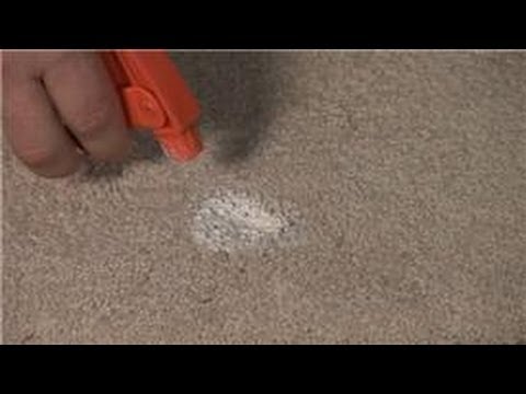 Carpet Cleaning : Removing Paint From Carpet Carpet Cleaning : Removing Paint From Carpet