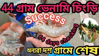 44 গ্রাম ভেনামি চিংড়ি Success অন্যরা দশ গ্রামে শেষ /  Csa Aqua / Aquaculture @chaaquaofficial