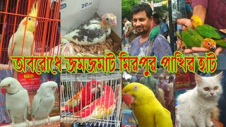 অবরোধে জমে উঠেছে মিরপুর ১ পাখির হাট || মিরপুর পাখির হাটে #birds #mirpur #animals