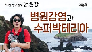 홍혜걸의 굳은땅 #7 \