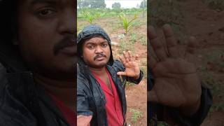 💥🌱 நேரடி விற்பனை விரைவில் நண்பா 😇#agriculture #village #shorts #subscribe #reality