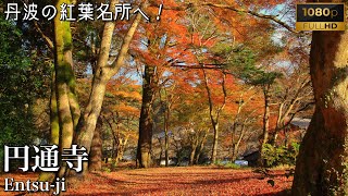 丹波の紅葉名所へ！ 円通寺/兵庫県丹波市【関西秘境巡り Go on a journey!!】Japan,Hyogo