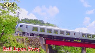 SEIBU LAVIEW crossing the Koma river in the fresh green of the mountains in Chichibu | Train Japan