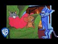 Tom & Jerry | Baby, It's Cold Outside!🥶 | Classic Cartoon Compilation | WB Kids