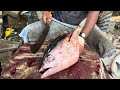 kasimedu 🔥 speed selvam big size trevally fish cutting video 4k video km fish cutting