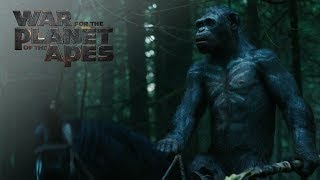 War for the Planet of the Apes | "All Hail Caesar!" TV Commercial | 20th Century FOX