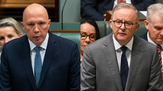 ‘Attacking Dutton is not going to work’: Labor lashed for political campaign angle