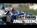 MASUK KE HUTAN UNTUK BERTEMU ORANGUTAN - BUKIT LAWANG, SUMATERA (2)