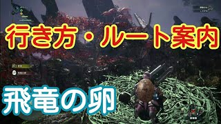 【MHW】飛竜の卵の場所・行き方案内【俺は森の運搬屋】