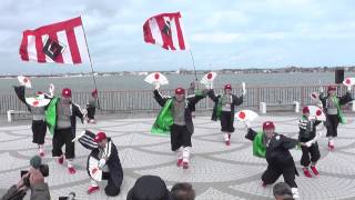 がむしゃらさん　 黒潮よさこい祭り2014