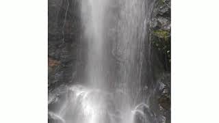 Pandavula Gutta l Chinthoni Gumpu l Bayyaram l Waterfalls l Forest l Hill l Greenary l Mahabubabad l