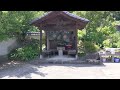 あじさい寺 神宮寺府中 あじさい満開