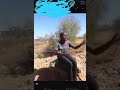 IZWI RAKADZIKA