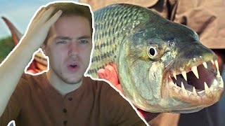 Fish Biologist reacts to \