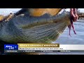 Kenya: Tourists fascinated by fisherman's relationship with crocs