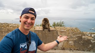 Les macaques de GIBRALTAR! - la visite complète du rocher