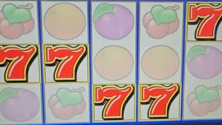 7's wild Max bet bonus with mixed live play