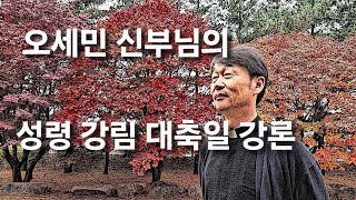 (2024.05.19.)성령 강림 대축일 강론 - 오세민 루도비코 신부님