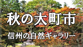 【信州の自然ギャラリー】96.秋の大町市