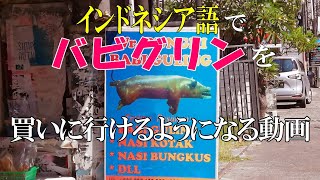 【バリ島お勧めワルン】バリ島郷土料理、インドネシア語を使って一人で「バビグリン」を買いに行けるようになる?!動画