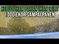 BERAPA KEBUTUHAN PAKAN IKAN LELE 1000 EKOR SAMPAI PANEN ???