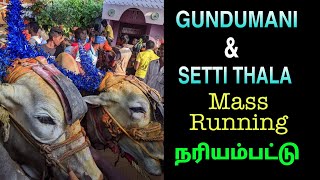 NTR Setti Thala and Gundumani Mass Running in Nariyampattu | 14-02-2020 |