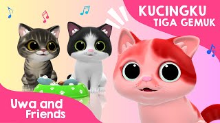 Kucingku Tiga Gemuk - Lagu Kucingku Telu - Lagu Anak Anak Lucu