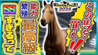 ウイニングポスト10 2024 攻略 繁殖この牝馬が銀札はヤバいと思うんですよ