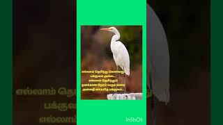 பக்குவம் #nature #tamil #shortsvideo #motivation #யூடி#youtube #trending #shortsviral #shortsfeed