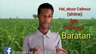 Abwaan calinuur