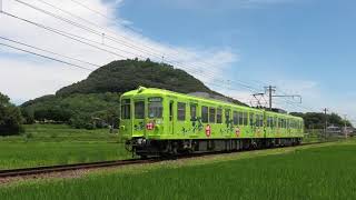 【警笛あり】高松琴平電気鉄道1300形1301F(お～いお茶ラッピング) 普通高松築港行 学園通り～白山通過【4K】