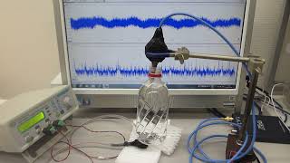 Dynamic control experiment of ultrasonic waves　超音波のダイナミック制御実験