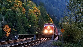 UNEXPECTED TRAIN RACE! TWO CN \u0026 CPKC SIDE BY SIDE OVER HARRISON BRIDGE