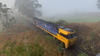 6MP5 With #NR26 #NR96 \u0026 #G538 Thru Yantaringa