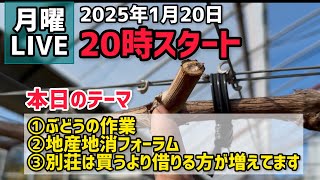 月曜LIVE〜2025年1月20日〜