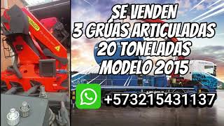 Se venden Gruas articuladas de 20 toneladas marca Palfinger Modelo 2015