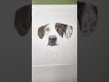 black and white dog pencil drawing learning to draw in 2024 adaptability design creativehealing