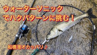 【ウォーターソニック】でシーバスのハクパターンに挑んでみた♪ 船橋港親水公園　オカッパリ