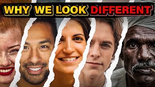 Why Do Humans Look Different?