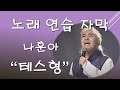 나훈아-테스형 [노래연습 자막]