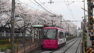 桜咲く頃2013 都電荒川線 　2013-3-24