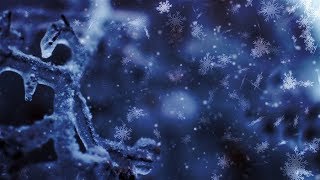 Motionbolt.com - It's Winter