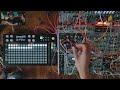 how to perform eurorack with dj weak acid