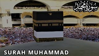 Surah Muhammad | Muhammad | Tareq Mohammad | طارق محمد  | سورۃ محمد