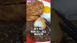 100년된 레시피로 현지인 부부가 운영 하는 찐 카레 맛집?(feat. 여러 논란이 있었던 생활의 달인까지 출연한 그 곳?)